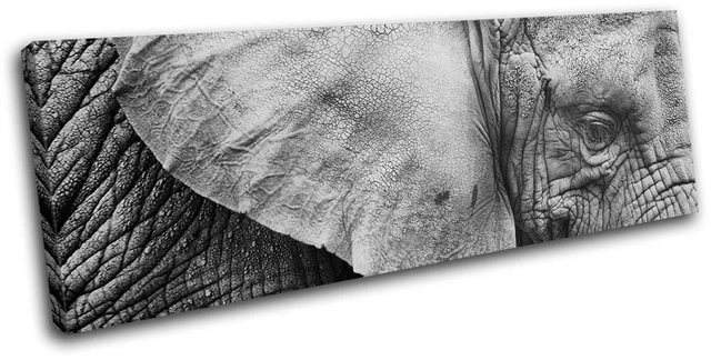 elephant-wild-animals-single-toile-murale-art-photo-print-eur-64-99