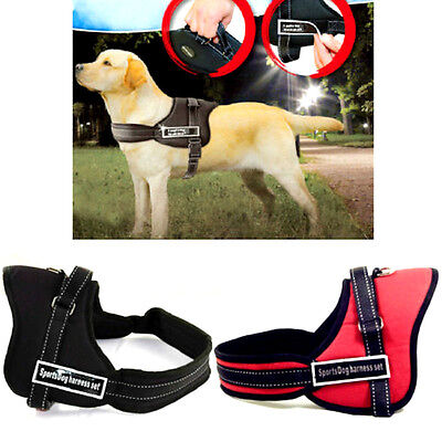 Pettorina imbracatura guinzaglio per cani Sport Dog Harness con maniglia tagliaM