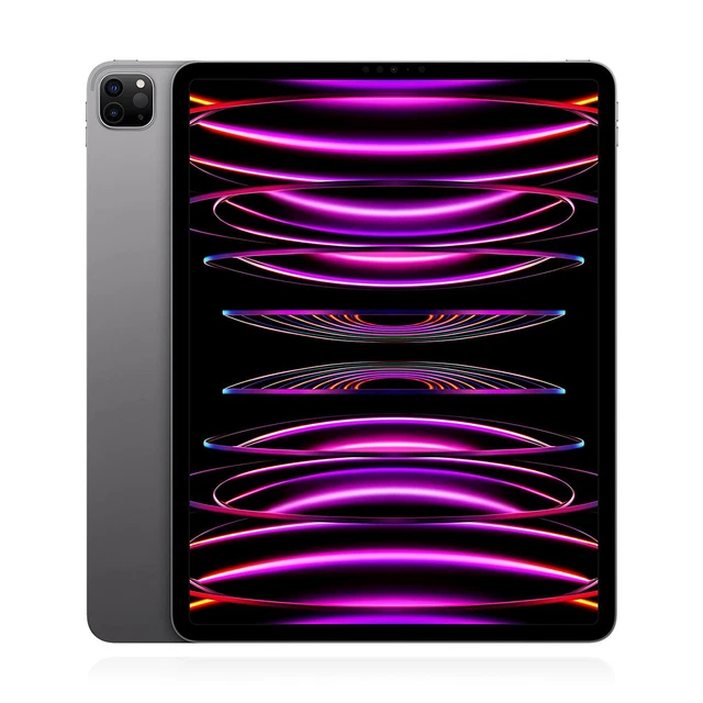 Apple iPad Pro 12.9 (2022) 128GB WiFi Space Grau WIE NEU MwSt nicht ausweisbar