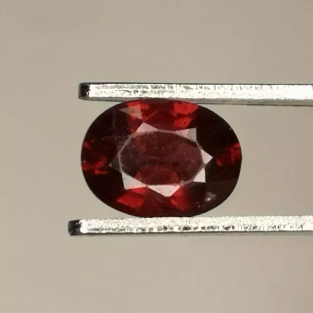 Grenat Rhodolite naturel du Mozambique - Ovale 1.21 Carat