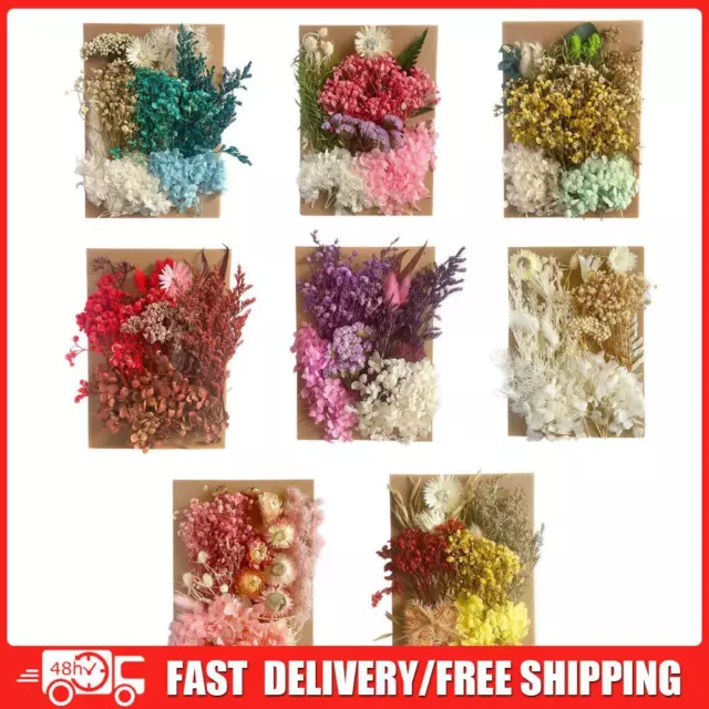 Dried Flowers for Resin Molds for Scrapbooking Card Making Supplies DIY Candle