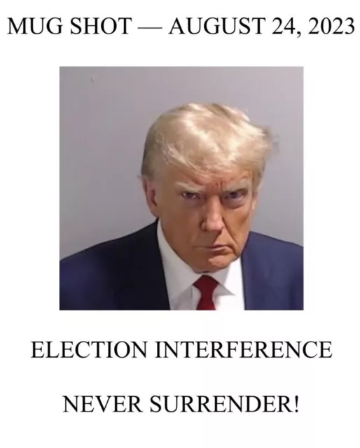 Georgia, Fulton County arrest: Trump mugshot photograph 4 - glossy A4 print