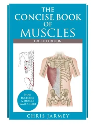 Chris Jarmey The Concise  Book of Muscles  Fourth Edition (Poche)