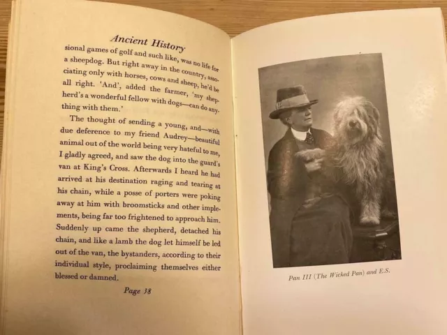 Rare Old English Sheepdog Dog Story Book By Smyth 1St 1936 Inordinate Affection