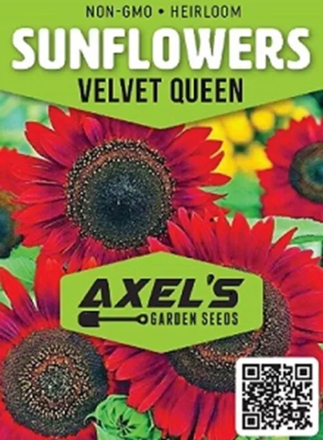 Sunflower Seeds- Vibrant Red Velvet Queen, Heirloom, Free Shipping! 2