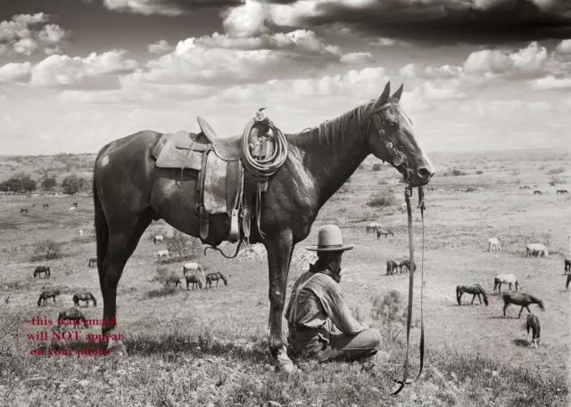 8x10 Wild West Texas Cowboy PHOTO Horse Rancher Country Sky Art Old West 1910