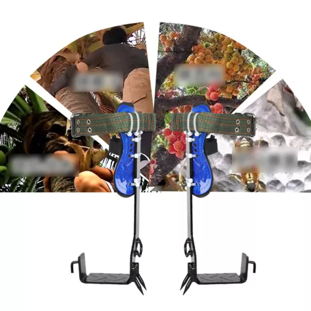 Tree Climbing Spike Set Pole Climbing Spurs W/ Security Lanyard & Harness 2 Gear