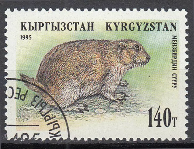 Kirgisistan Briefmarke gestempelt Biber Tier Wildtier Tierwelt Natur / 41