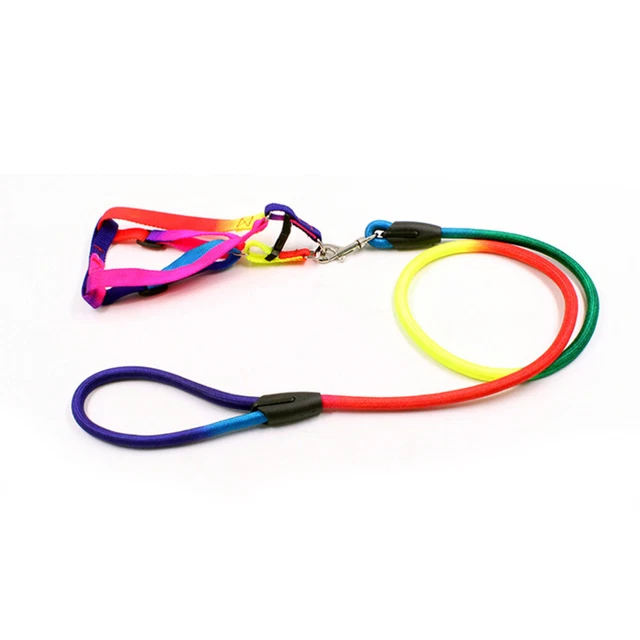 Collari Cani Colore Arcobaleno Imbracatura Cuccioli Guinzagli Cinghie Torace Animale Animale Animale