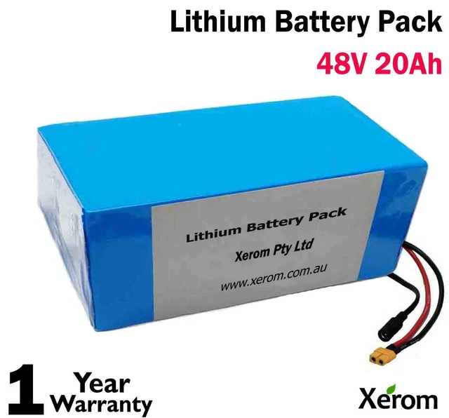 e bike lithium battery price
