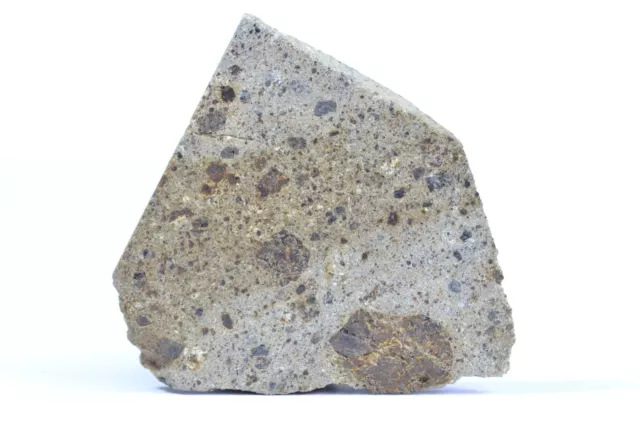 Meteorite NWA 6048 - Eurcrite-pmict - found 2009 in Morocco - part slice - 6.1 g