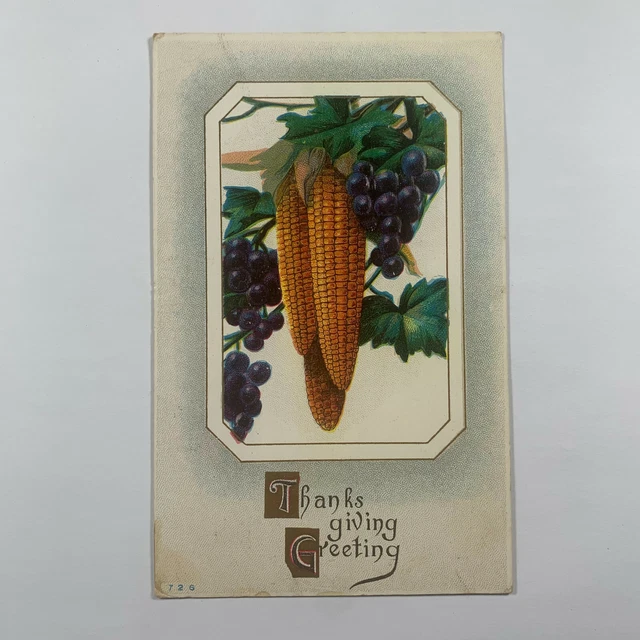Postcard Thanksgiving Grapes Corn 1910s Dedham Massachusetts MA