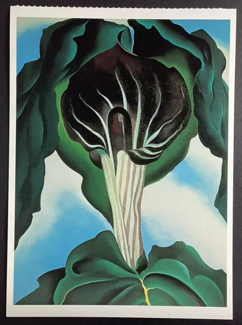 Georgia O'Keeffe Jack in the Pulpit #3 National Gallery of Art Postcard Unused