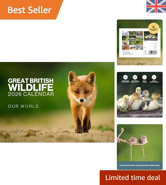 2026 BRITISH WILDLIFE Calendar - Stunning A4 Wall Planner with Notes ...