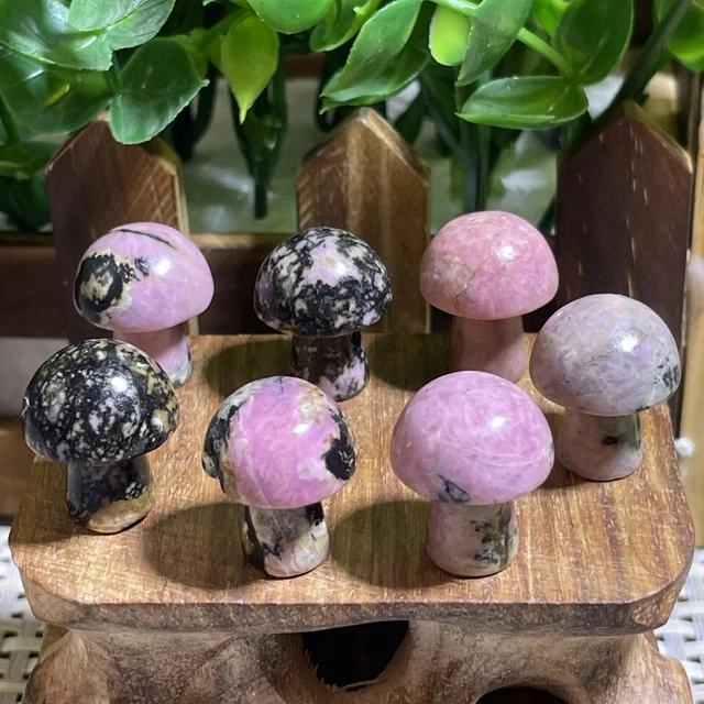 7pcs Natural Rhodonite Quartz Carved Crystal Mushroom reiki Healing Decor A1521 2