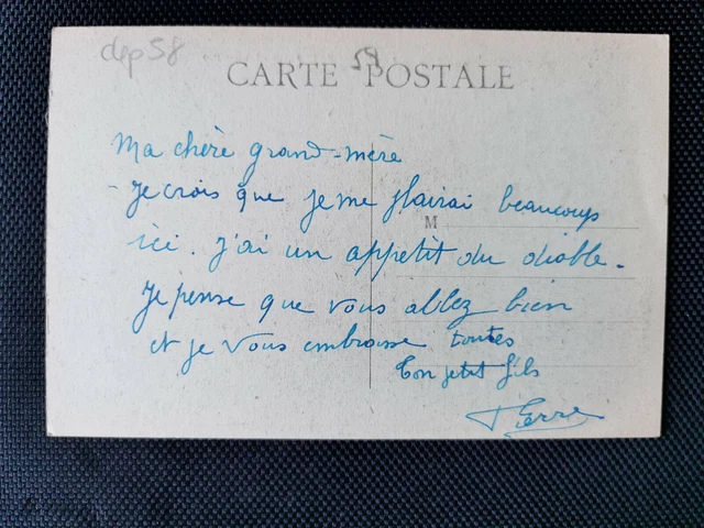 CPA 58 POUGUES-LES-EAUX - Les Bords de la Loire - La Ferme et le Château 2