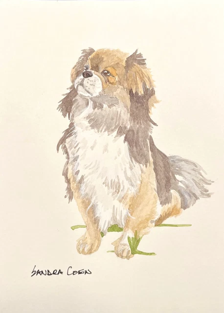 Tibetan Spaniel Original Watercolor by Sandra Coen Sitting