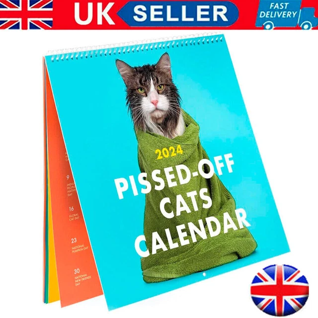 2024 PISSEDOFF CATS Calendar / Funny Cat Wall Calendar 12 months UK £8