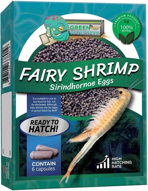 Fairy Shrimp Sirindhornae Eggs Live Fish Food for Hatching and Culture Suitable