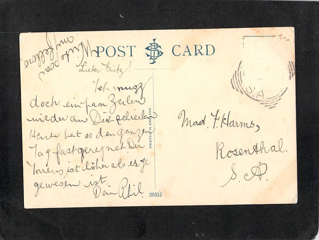 B2611 Australia SA Adelaide Botanic Gardens Hot House vintage postcard 2