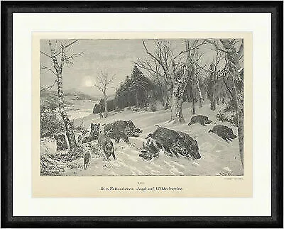 Jagd auf Wildschweine H. V. Fallersleben Tiere Jäger Winter  Faksimile_A 1966