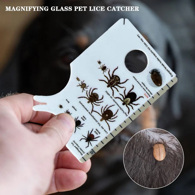 Card Type Magnifier Loupe With Tick Card Magnifying Glass For Pet Tick Remover