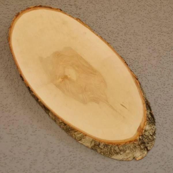 Abedul Ciervo AF35cm Placa Escudo de Trofeo Cornamenta Baumschild Natural Madera 3