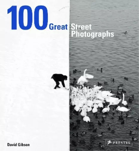 David Gibson 100 Great Street Photographs (Gebundene Ausgabe)