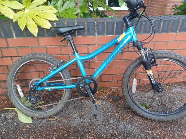 Ridgeback mx20 blue hotsell