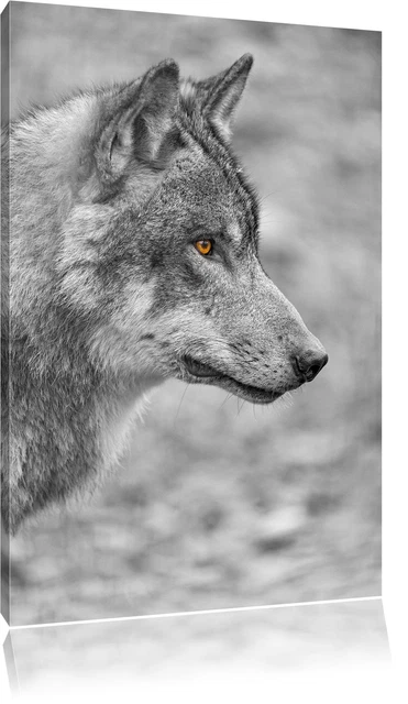 Graceful Wolf IN Side Profile Black/White Canvas Picture Wall Deco Art Print