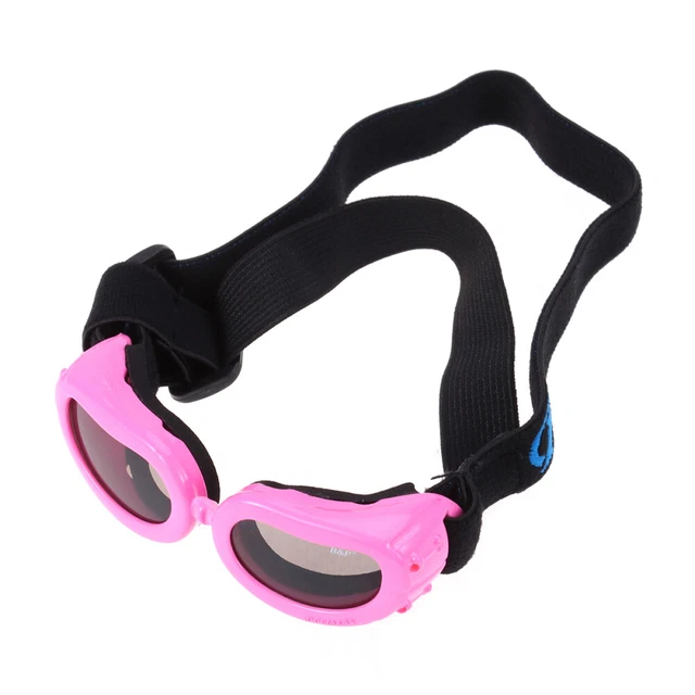Forniture per animali domestici occhiali da vista cani occhiali da sole costumi gatto luce ultravioletta