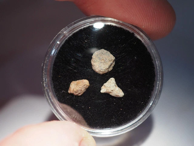 3 x fragments of Bechar 006 0.3g Lunar Meteorite fragment **From the Moon**