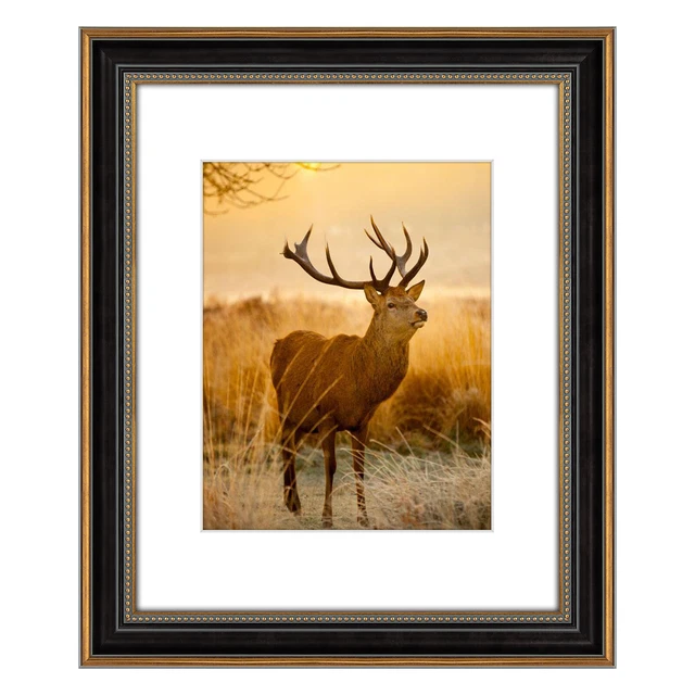 16X20 PICTURE FRAME with White Color Mat for 11x14 Photo Ornate Gold