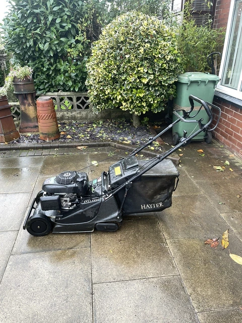 Hayter harrier 41 2025 pro