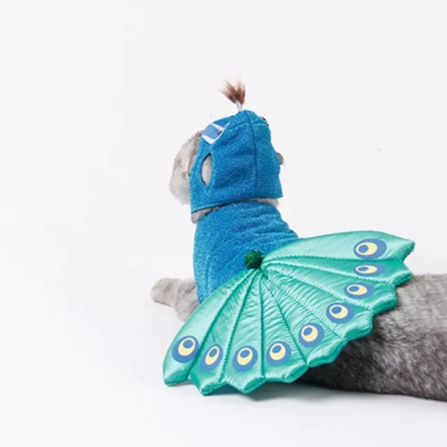 Costume cosplay pavone animale domestico costume pavone blu gatto pavone felpa con cappuccio regolabile