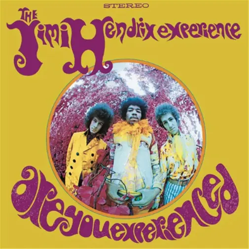 The Jimi Hendrix Experience Are You Experienced (Vinyl) 12" Album (US IMPORT)