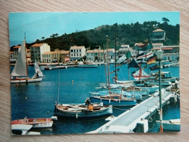 Cpsm Cpm  Carte Postale Var Saint Mandrier Les Voiliers Dans Le Port