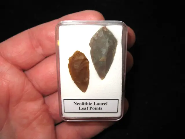 Neolithic stone age tool arrow head LAUREL LEAF points in display case 3000 B.C.