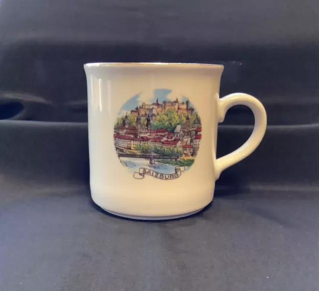 Rare Vintage Winterling Rosiau Salzburg Bavaria Coffee Cup Bavaria Germany 8oz