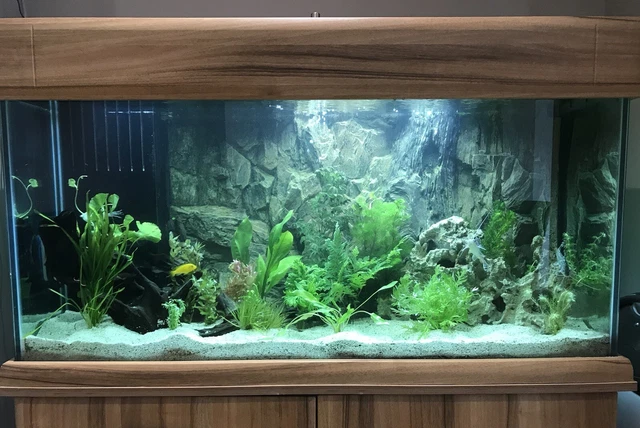 4ft / 300l aquarium fish tank  + stand and all accessories