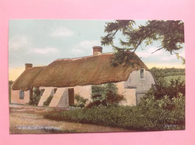 "A Real Irish Cottage" "CHAS. L. REIS & CO. DUBLIN" ORIGINAL Unused POSTCARD