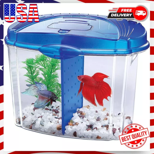 Aqueon Blue Bowl  Betta Aquarium Kit Pink & Purple Betta Fish Tank