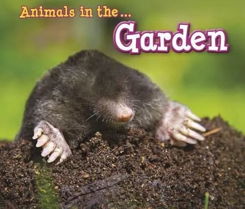 Animals in the Garden (Animals I Can See), Sian Smith