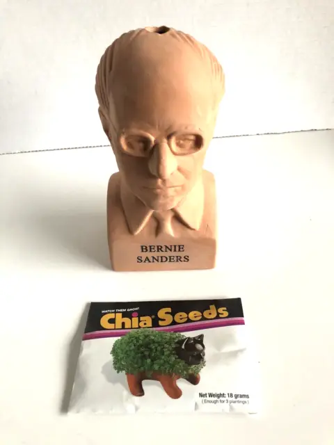 BERNIE SANDERS  Chia Pet ~ 2020 Election ~ Terracotta Bust  ~ New