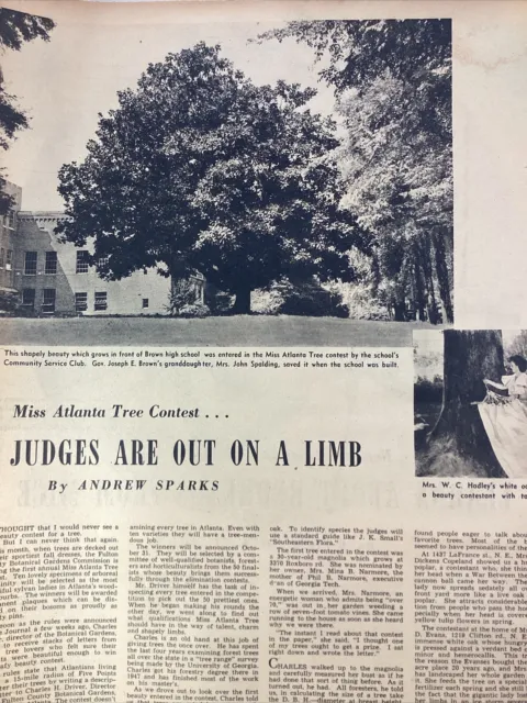 Atlanta GA Tree Contest Print Article 1948 AJC Brown High School Willard Hadley