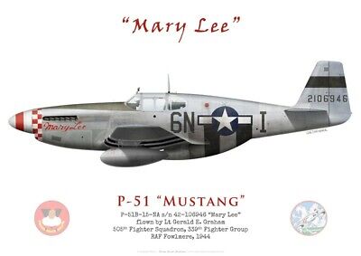 Stephen Ananian 339th FG par G.Marie Print P-51D Mustang "Baby Mine" 