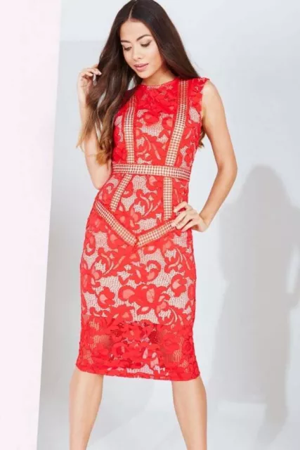 Little Mistress Red Lace Panel Midi Occasion Dress BNWT NEW Size 12