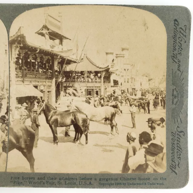 Shanghai Restaurant Horse Show Stereoview c1904 St Louis Worlds Fair China H1426