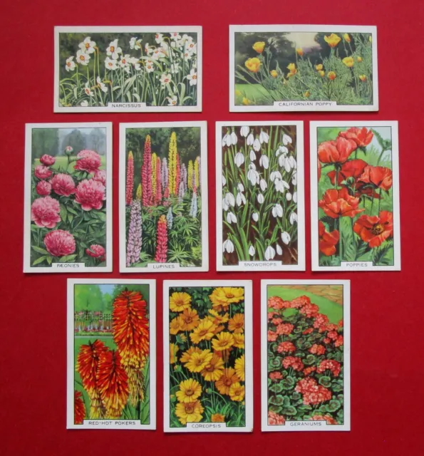 GALLAHER 9 VINTAGE 1938 CIGARETTE CARDS  GARDEN FLOWERS FOR No's  SEE PICTURES