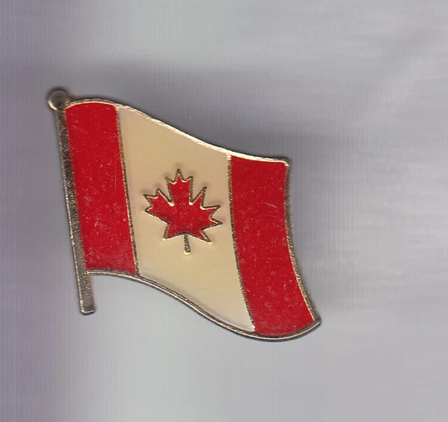 Pins pin badge pin's drapeau pays carte departement maine et loire